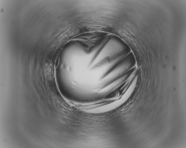 X0000088721059200706141607
