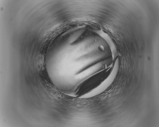 X0000088721062200706141607