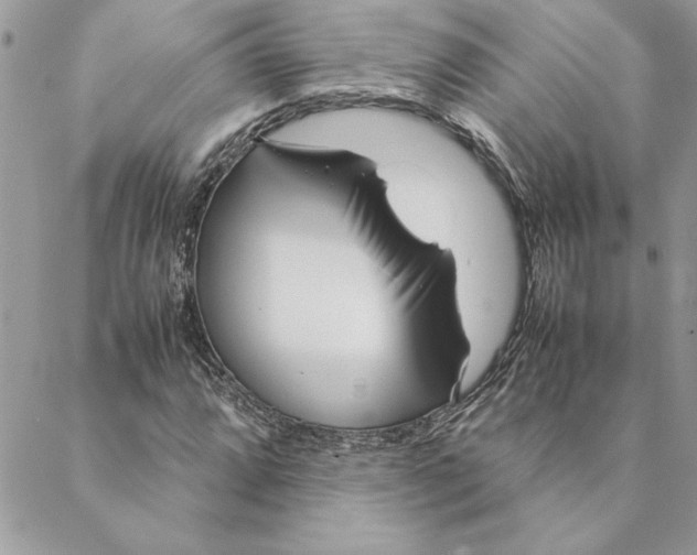 X0000088721064200706141607