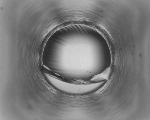 X0000088721065200706141607