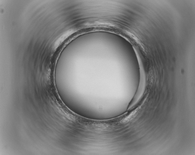 X0000088721066200706141607