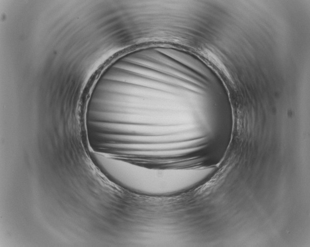 X0000088721068200706141607