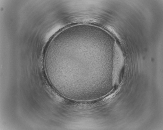 X0000088721071200706141607