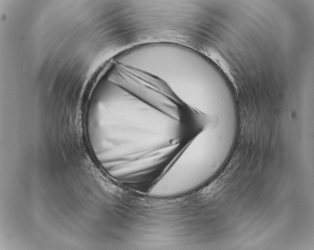 X0000088721072200706141607