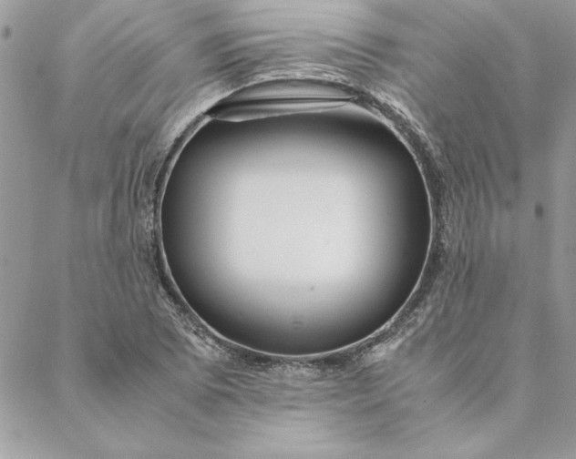 X0000088721073200706141607