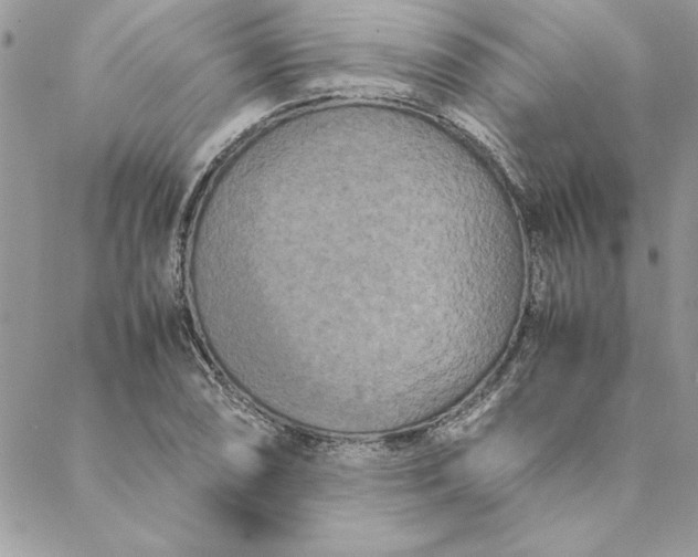 X0000088721074200706141607