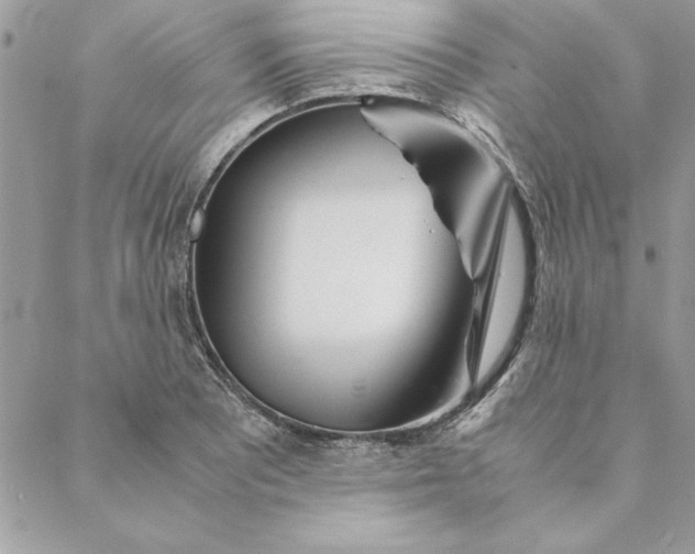 X0000088721081200706141607