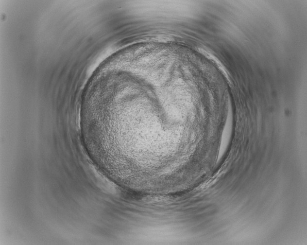 X0000088721083200706141607