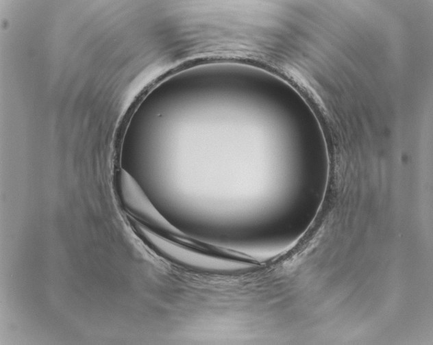 X0000088721085200706141607