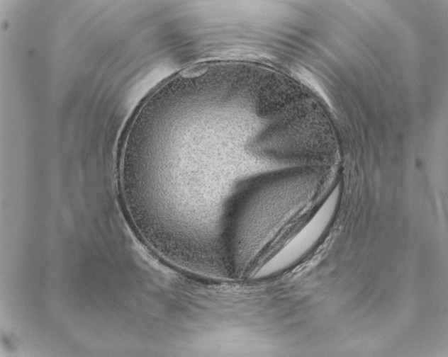 X0000088721087200706141607