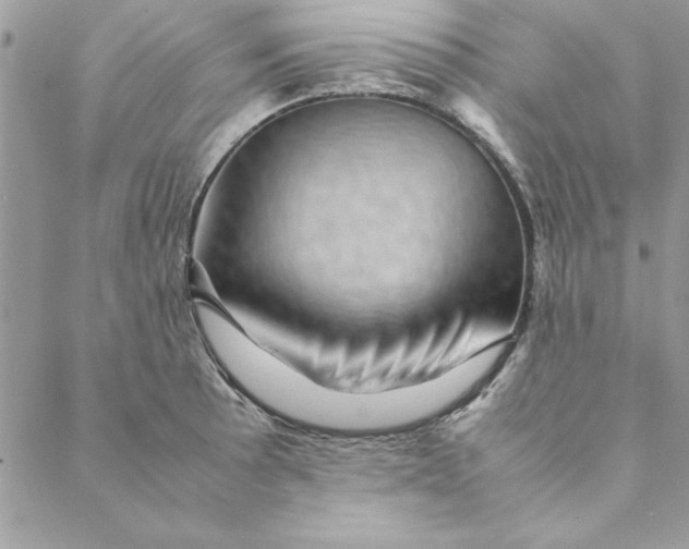 X0000088721089200706141607