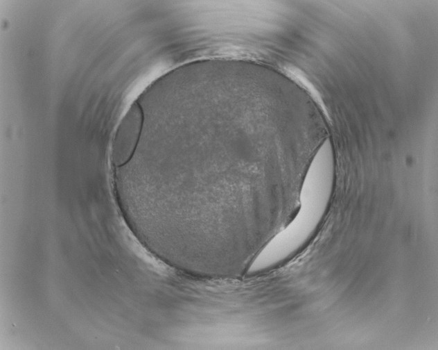 X0000088721091200706141607