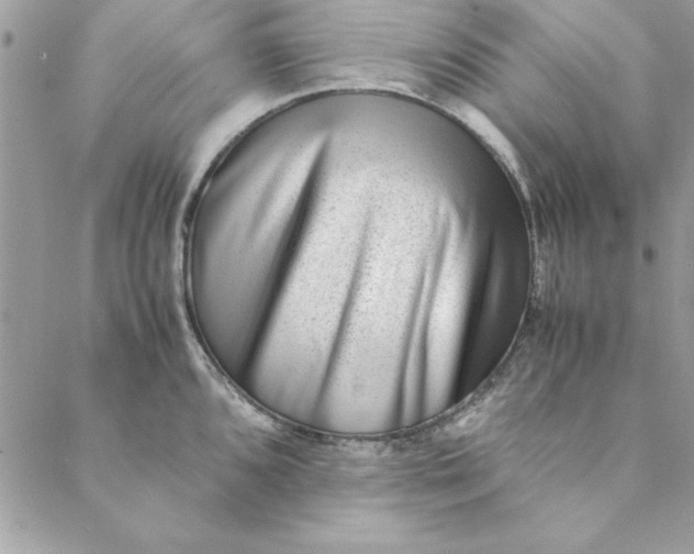 X0000088721096200706141607