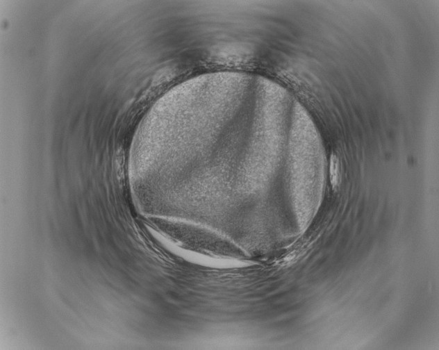 X0000088721107200706141606