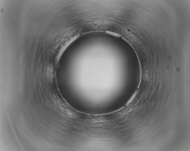 X0000088721108200706141606