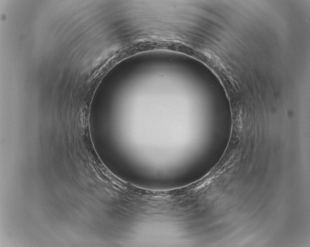 X0000088721110200706141606