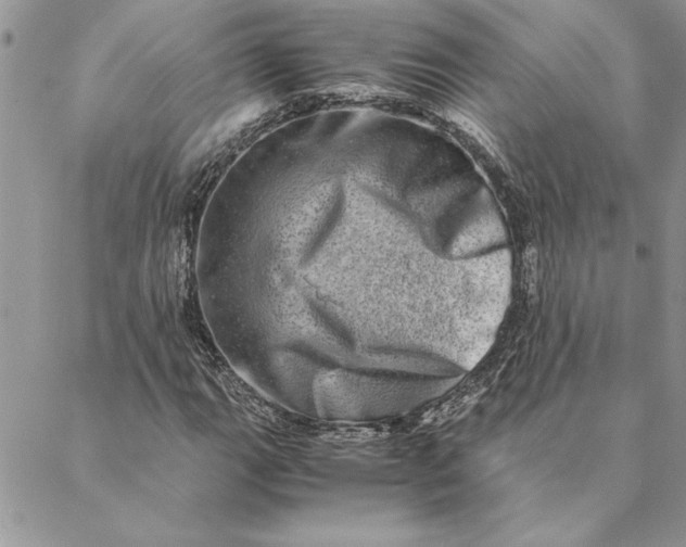 X0000088721111200706141606