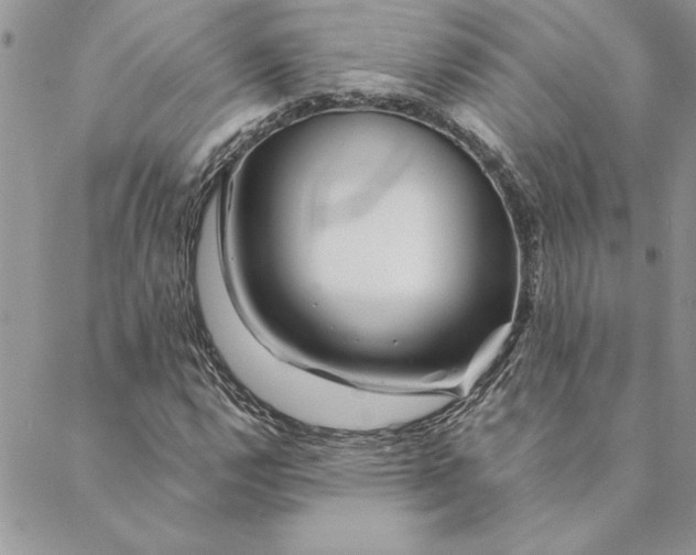 X0000088721112200706141606