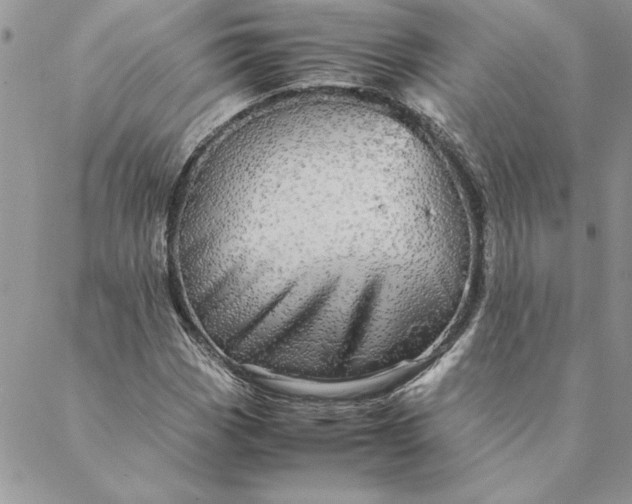 X0000088721113200706141606