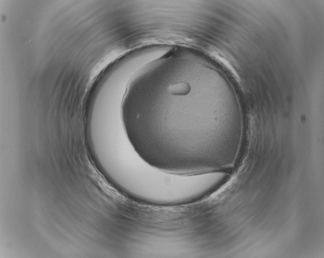 X0000088721114200706141606