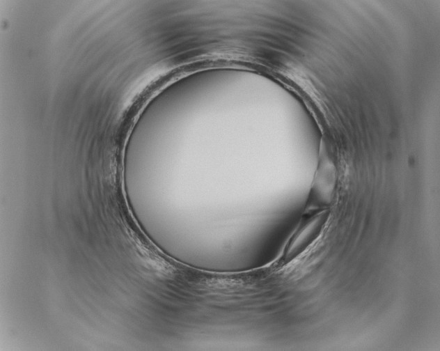 X0000088721115200706141606
