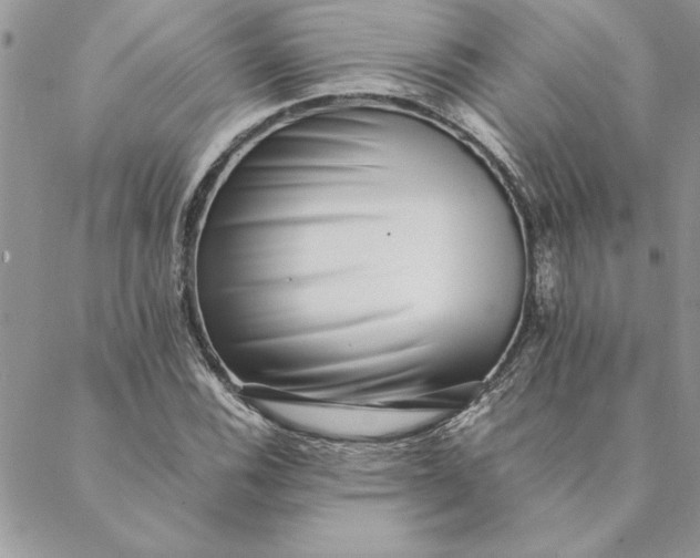 X0000088721116200706141606