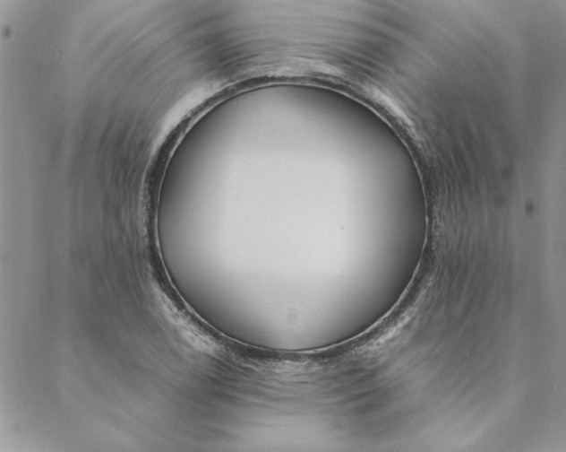 X0000088721122200706141606