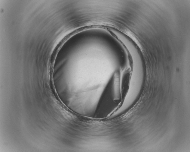 X0000088721124200706141606