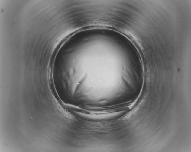 X0000088721125200706141606