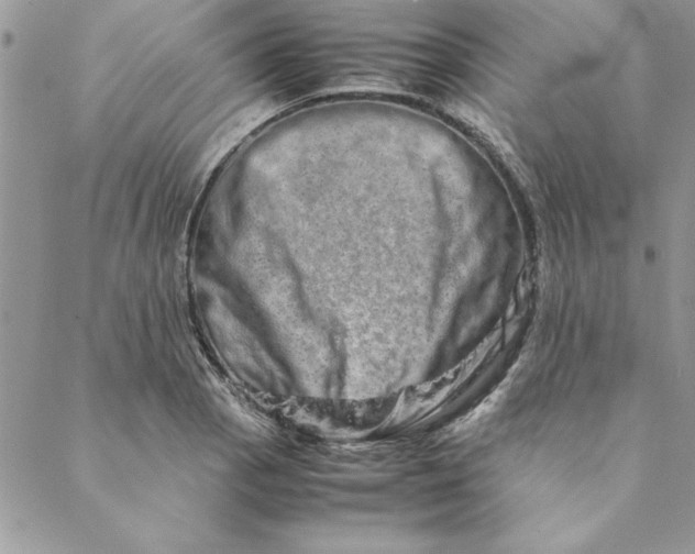 X0000088721129200706141606