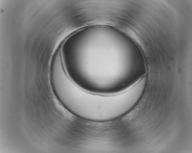 X0000088721132200706141606