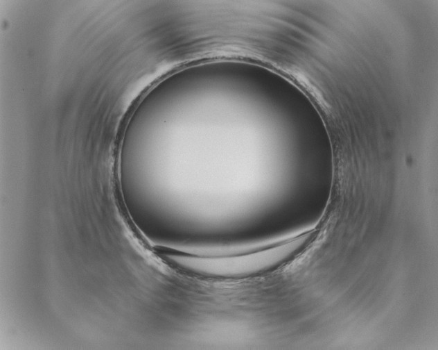 X0000088721134200706141606