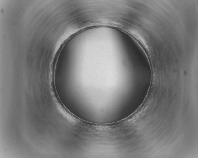 X0000088721136200706141606