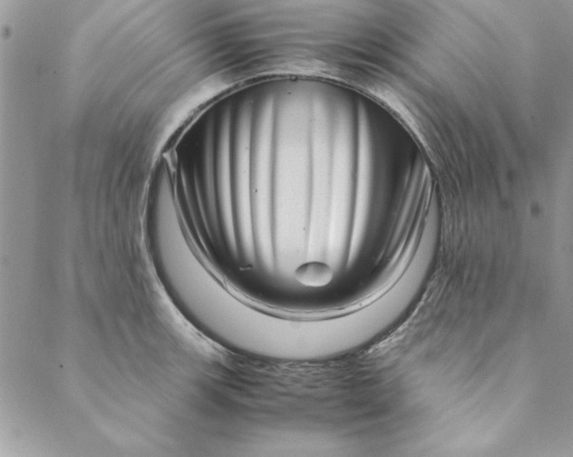 X0000088721139200706141606
