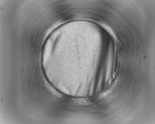 X0000088721149200706141607