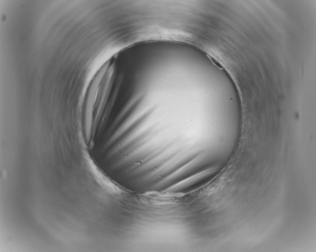 X0000088721152200706141607