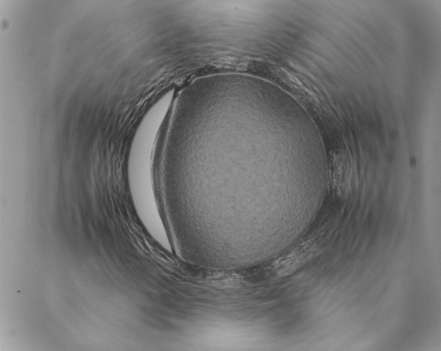 X0000088721154200706141606