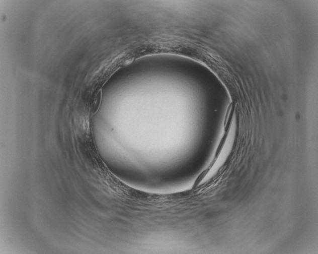 X0000088721155200706141606