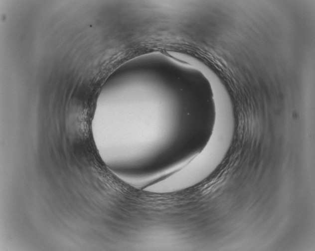 X0000088721156200706141606