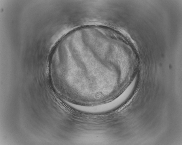 X0000088721167200706141606