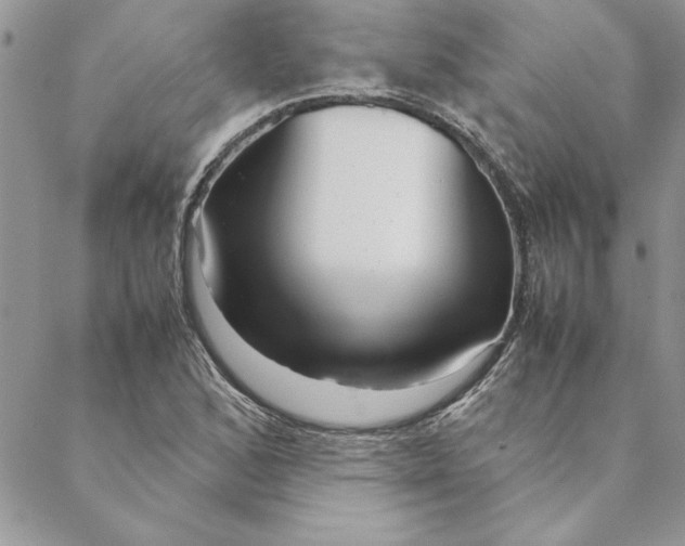 X0000088721168200706141606