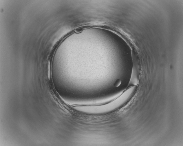 X0000088721171200706141606