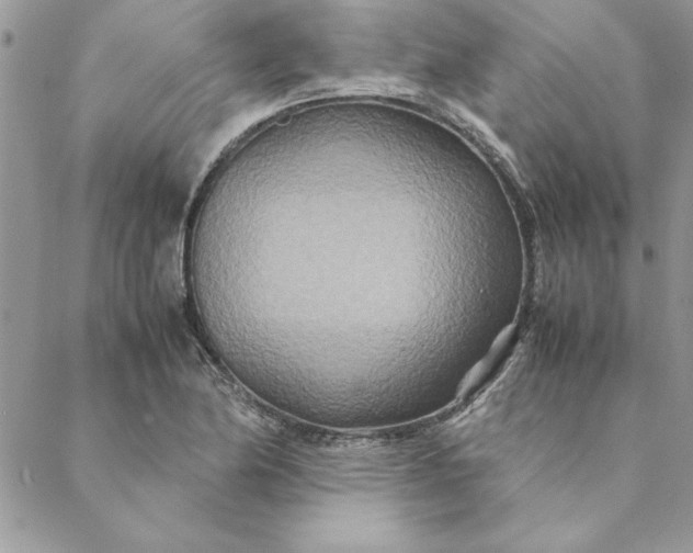 X0000088721174200706141606