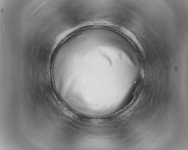 X0000088721176200706141606