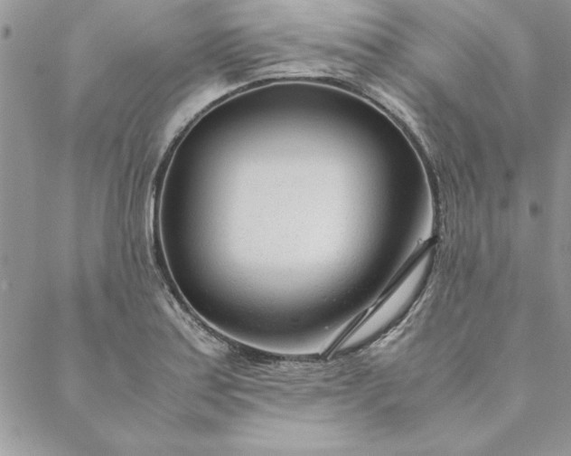 X0000088721179200706141605