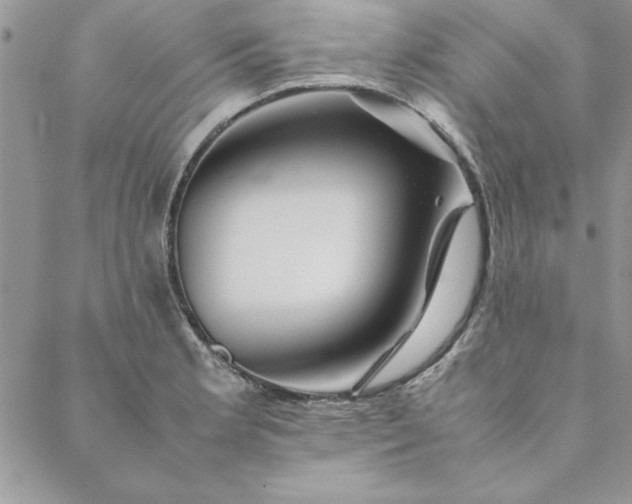 X0000088721181200706141605