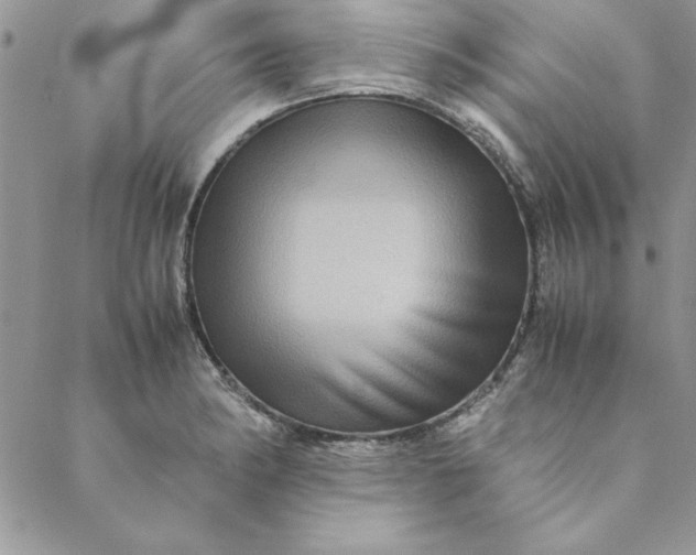 X0000088721182200706141605