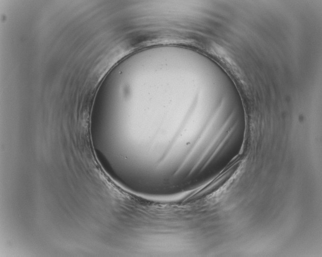 X0000088721185200706141605