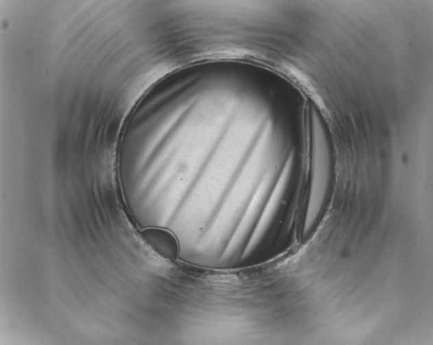 X0000088721186200706141605