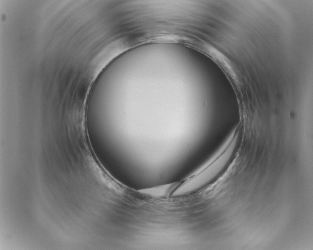 X0000088721194200706141605